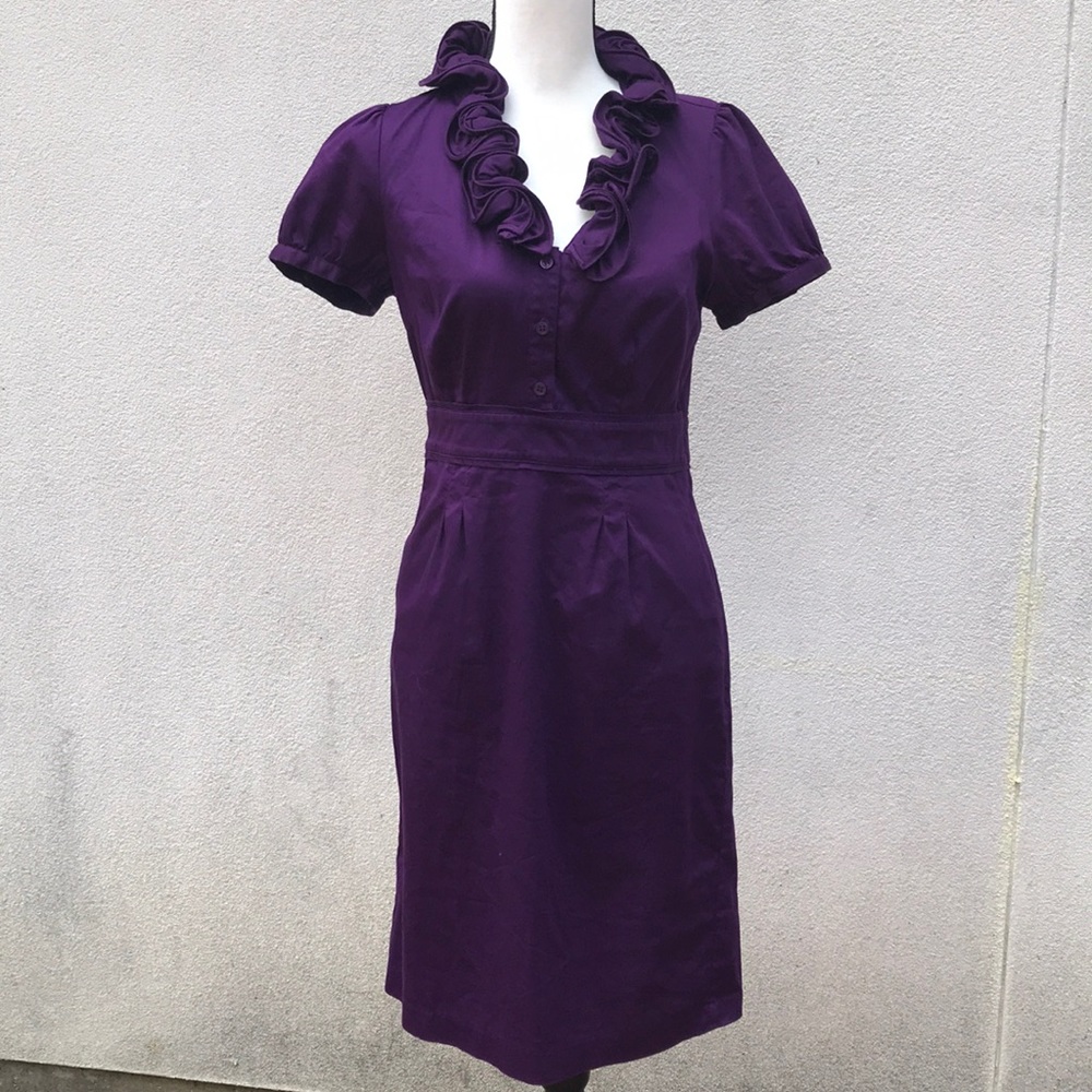 The limited purple dress medium